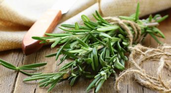 Benefits of Rosemary for Your Skin & Health